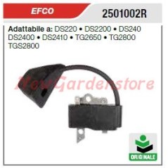 EFCO chainsaw ignition coil DS220 DS2200 DS240 2501002R | Newgardenstore.eu