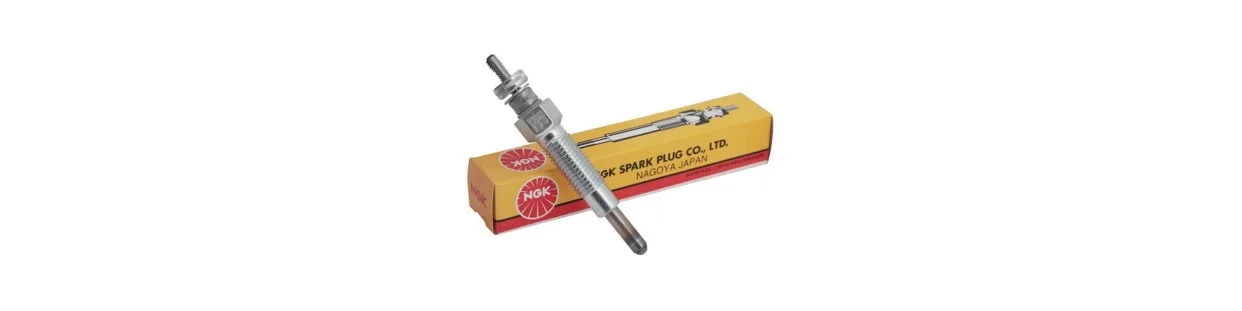 Sale Spark Plugs on-line - Spare Parts Garden | Shop on line: low prices | Newgardenstore.eu