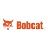 Bobcat